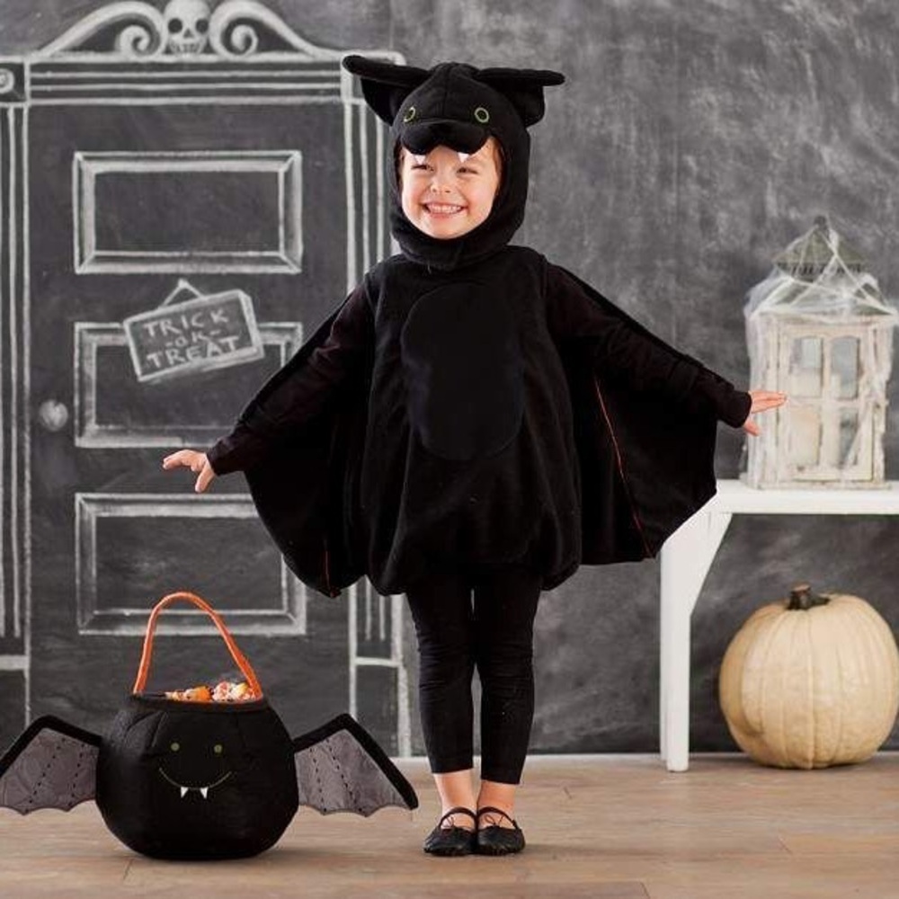 Pottery Barn Kids Bat Costume🦇